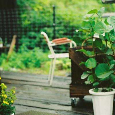 皇冠新体育APP下载