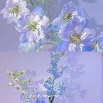 一分快3官方网址