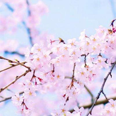 狗万manbetapp下载截图